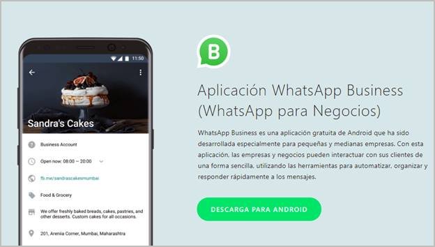 whatsapp-business