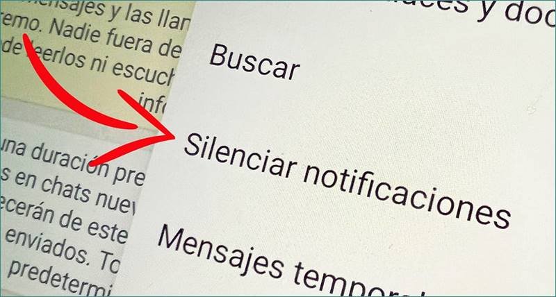 como saber si alguien me ha silenciado en WhatsApp